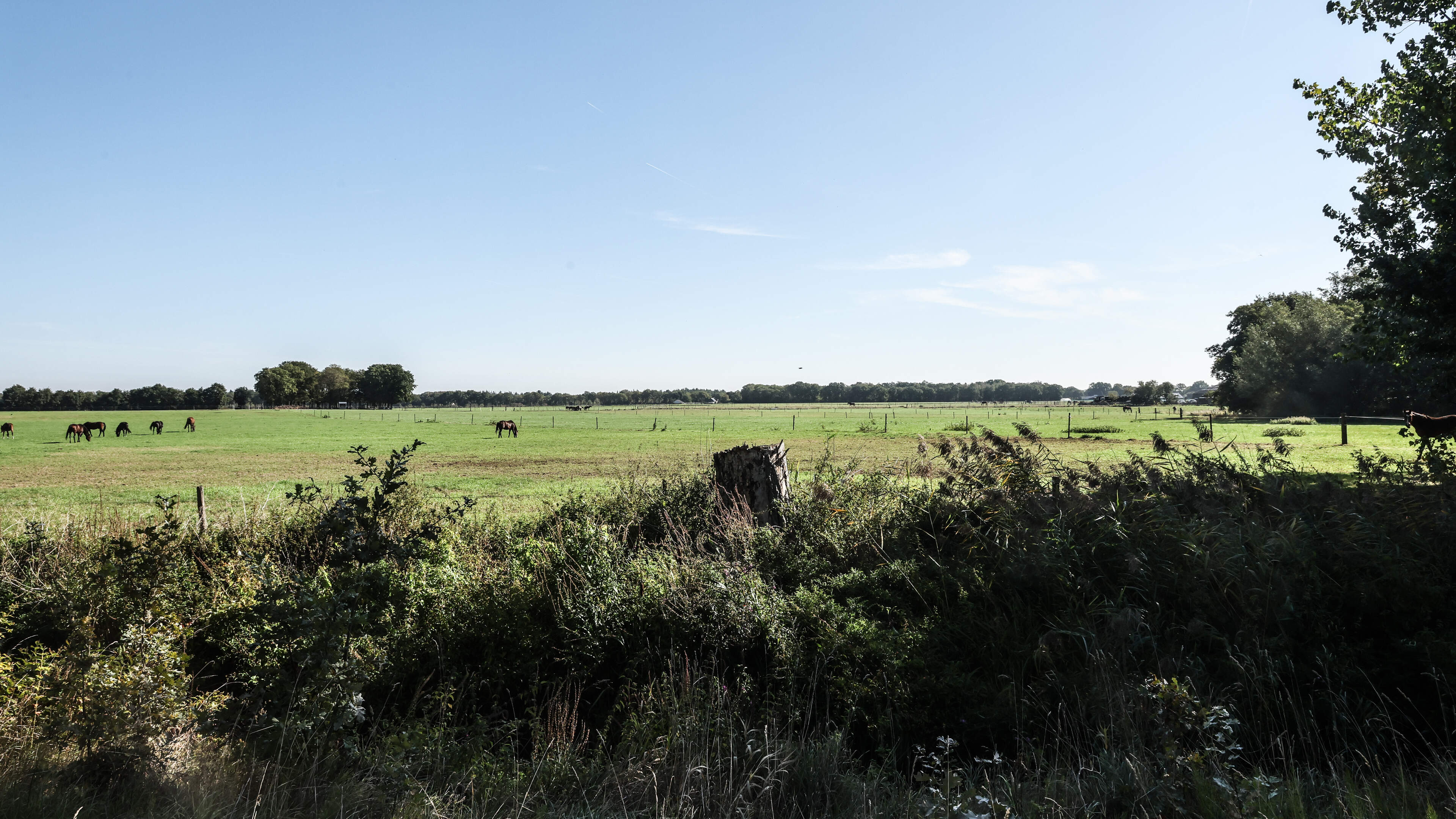 Landbouwers in Nispen dreigen bedrijf te verliezen door komst nieuwe legerkazerne: “Hebben wij niets