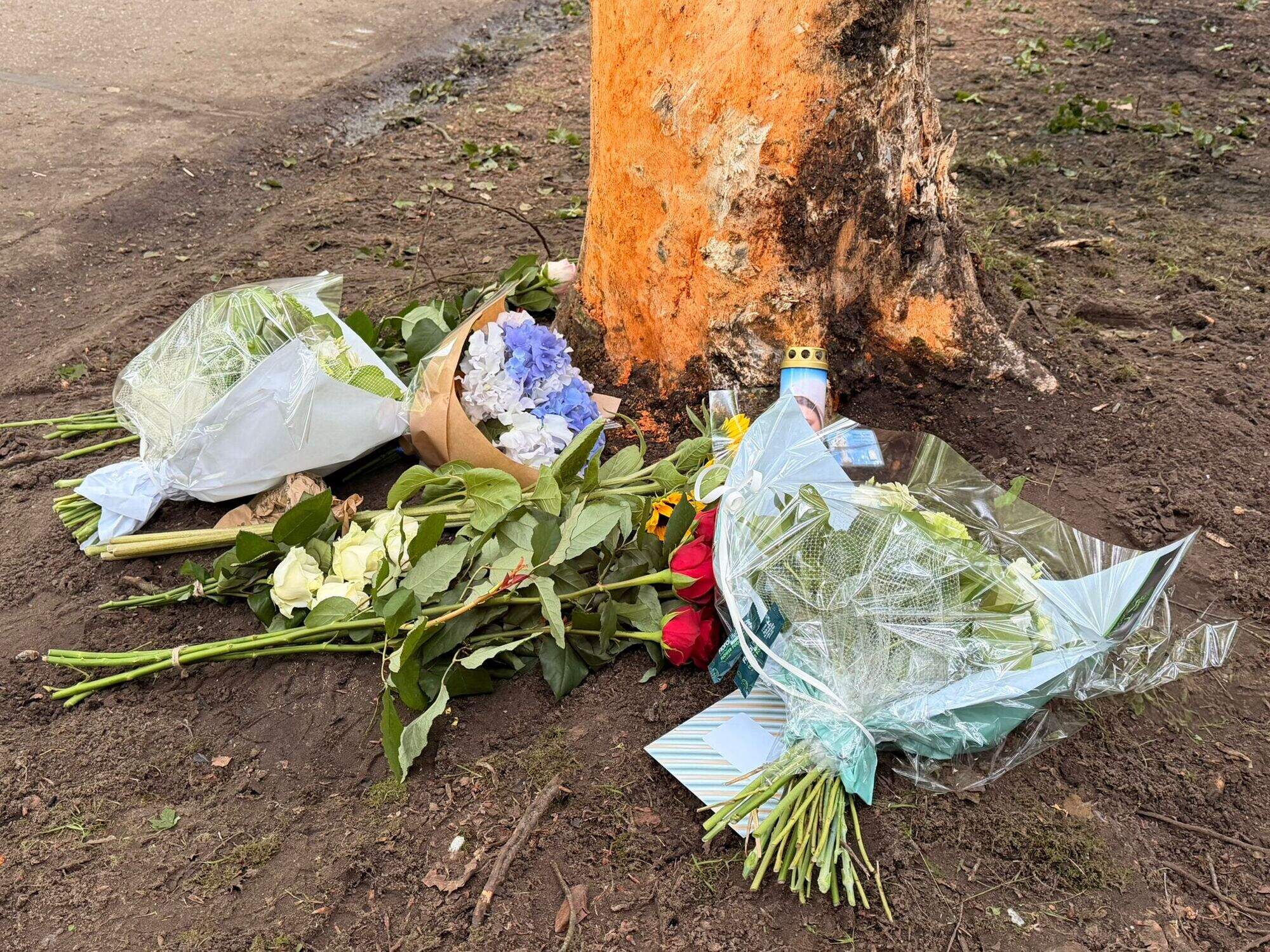 Buurt in shock na dodelijke crash met minderjarigen: “De jongeren kwamen  van een feestje, dit is verschrikkelijk” | Nieuwsblad